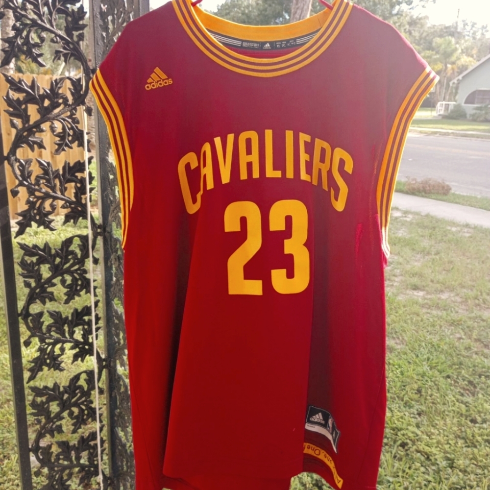 Cav's Lebron James